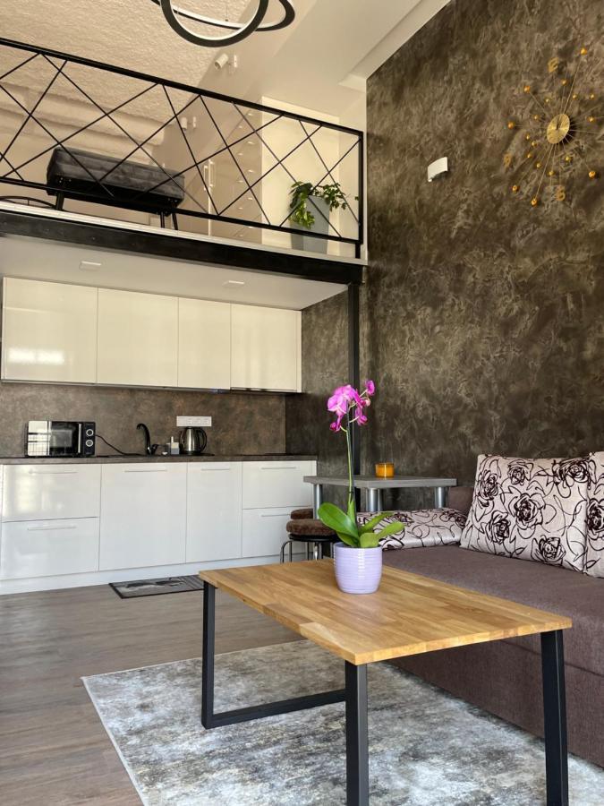 Radio City Loft Kaunas Kültér fotó
